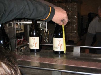 Checking Every Detail